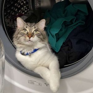 Meet your Posher, Johnny